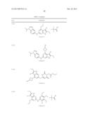 GYRASE INHIBITORS diagram and image