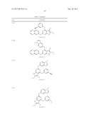 GYRASE INHIBITORS diagram and image