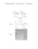 MALLEABLE HYDROGEL HYBRIDS MADE OF SELF-ASSEMBLED PEPTIDES AND     BIOCOMPATIBLE POLYMERS AND USES THEREOF diagram and image