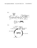 FC BINDING PROTEIN AND METHOD FOR MANUFACTURING SAME diagram and image