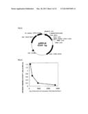 FC BINDING PROTEIN AND METHOD FOR MANUFACTURING SAME diagram and image