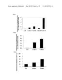 FC BINDING PROTEIN AND METHOD FOR MANUFACTURING SAME diagram and image