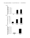 FC BINDING PROTEIN AND METHOD FOR MANUFACTURING SAME diagram and image