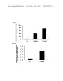 FC BINDING PROTEIN AND METHOD FOR MANUFACTURING SAME diagram and image