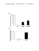 FC BINDING PROTEIN AND METHOD FOR MANUFACTURING SAME diagram and image