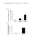 FC BINDING PROTEIN AND METHOD FOR MANUFACTURING SAME diagram and image