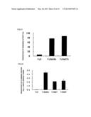 FC BINDING PROTEIN AND METHOD FOR MANUFACTURING SAME diagram and image