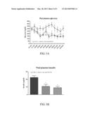 FUSION PROTEINS FOR TREATING METABOLIC DISORDERS diagram and image