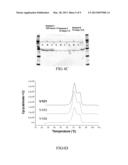 FUSION PROTEINS FOR TREATING METABOLIC DISORDERS diagram and image