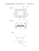 Steam-Generative Warming Device diagram and image