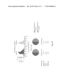 Phased Whole Genome Genetic Risk In A Family Quartet diagram and image