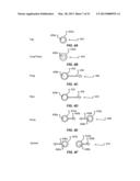 MINIMIZING AND MAXIMIZING BETWEEN PORTRAIT DUAL DISPLAY AND PORTRAIT     SINGLE DISPLAY diagram and image