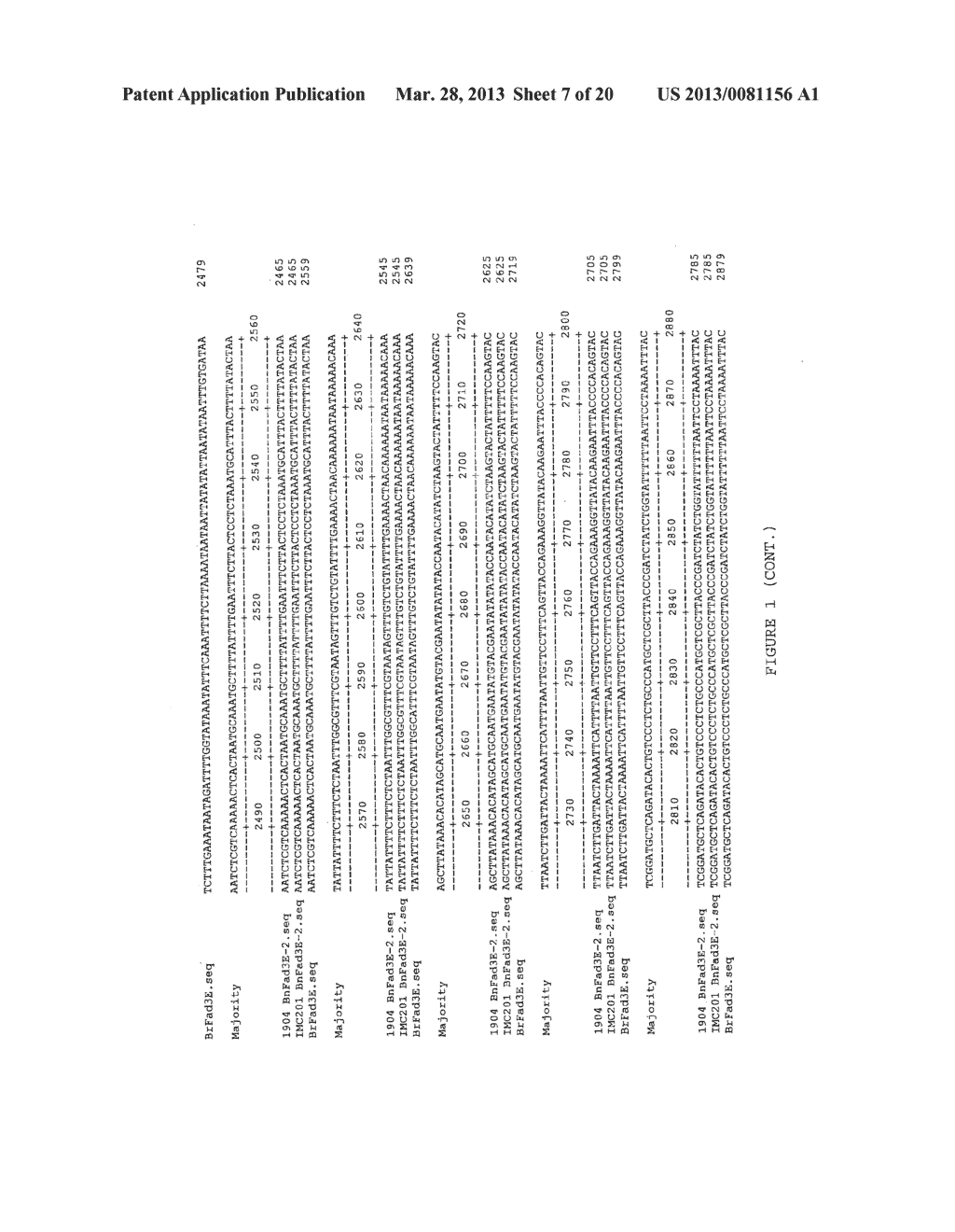 BRASSICA PLANTS YIELDING OILS WITH A LOW ALPHA LINOLENIC ACID CONTENT - diagram, schematic, and image 08