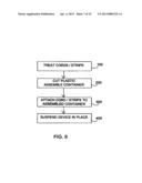 Fly Attractant System with Toxicant-Treated Cords diagram and image