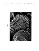 METAL COMPOUND COATED PARTICULATE MINERAL MATERIALS, METHODS OF MAKING     THEM AND USES THEREOF diagram and image