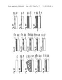 PHOTOELECTRIC CONVERSION ELEMENT AND METHOD OF PRODUCING THE SAME diagram and image