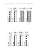 PHOTOELECTRIC CONVERSION ELEMENT AND METHOD OF PRODUCING THE SAME diagram and image