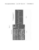 SOLAR CELL HAVING POROUS STRUCTURE IN WHICH METAL NANOPARTICLES ARE     CARRIED IN PORES diagram and image