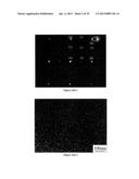 Composition design and processing methods of high strength, high     ductility, and high corrosion resistance FeMnAlC alloys diagram and image