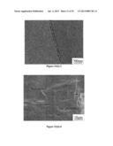 Composition design and processing methods of high strength, high     ductility, and high corrosion resistance FeMnAlC alloys diagram and image