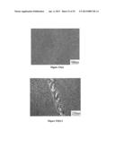 Composition design and processing methods of high strength, high     ductility, and high corrosion resistance FeMnAlC alloys diagram and image