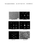 Composition design and processing methods of high strength, high     ductility, and high corrosion resistance FeMnAlC alloys diagram and image