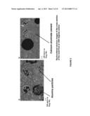 CASTING MOLD COMPOSITION WITH IMPROVED DETECTABILITY FOR INCLUSIONS AND     METHOD OF CASTING diagram and image