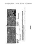 CASTING MOLD COMPOSITION WITH IMPROVED DETECTABILITY FOR INCLUSIONS AND     METHOD OF CASTING diagram and image