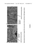 CASTING MOLD COMPOSITION WITH IMPROVED DETECTABILITY FOR INCLUSIONS AND     METHOD OF CASTING diagram and image