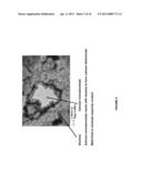 CASTING MOLD COMPOSITION WITH IMPROVED DETECTABILITY FOR INCLUSIONS AND     METHOD OF CASTING diagram and image