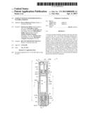 Syringe With Plunger Rod Having a Flexible Portion diagram and image