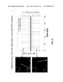 FLUIDIC FLOW CYTOMETRY DEVICES AND METHODS diagram and image