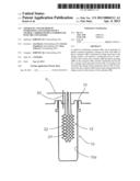 APPARATUS AND METHOD OF STERILIZING CONTAINERS WITH A CHARGE CARRIER     SOURCE INTRODUCED INTO THE CONTAINERS diagram and image