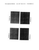 STEM CELLS FROM ADIPOSE TISSUE, AND DIFFERENTIATED CELLS FROM SAID CELLS diagram and image