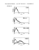 STEM CELLS FROM ADIPOSE TISSUE, AND DIFFERENTIATED CELLS FROM SAID CELLS diagram and image