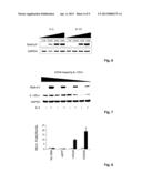 Methods and Compositions for Reducing Interleukin-4 or Interleukin-13     Signaling diagram and image