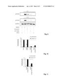 Methods and Compositions for Reducing Interleukin-4 or Interleukin-13     Signaling diagram and image