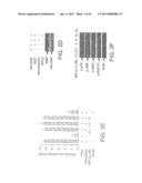 COMPOSITIONS INCLUDING TRICIRIBINE AND METHODS OF USE THEREOF diagram and image