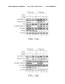 COMPOSITIONS INCLUDING TRICIRIBINE AND METHODS OF USE THEREOF diagram and image