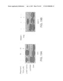 COMPOSITIONS INCLUDING TRICIRIBINE AND METHODS OF USE THEREOF diagram and image