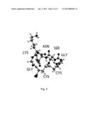 OLIGOMER-SPECIFIC AMYLOID BETA EPITOPE AND ANTIBODIES diagram and image