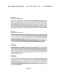 OLIGOMER-SPECIFIC AMYLOID BETA EPITOPE AND ANTIBODIES diagram and image