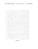 ANTAGONIST ANTI-NOTCH3 ANTIBODIES AND THEIR USE IN THE PREVENTION AND     TREATMENT OF NOTCH3-RELATED DISEASES diagram and image