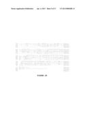 ANTAGONIST ANTI-NOTCH3 ANTIBODIES AND THEIR USE IN THE PREVENTION AND     TREATMENT OF NOTCH3-RELATED DISEASES diagram and image