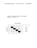 ANTAGONIST ANTI-NOTCH3 ANTIBODIES AND THEIR USE IN THE PREVENTION AND     TREATMENT OF NOTCH3-RELATED DISEASES diagram and image