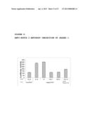 ANTAGONIST ANTI-NOTCH3 ANTIBODIES AND THEIR USE IN THE PREVENTION AND     TREATMENT OF NOTCH3-RELATED DISEASES diagram and image