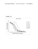 ANTAGONIST ANTI-NOTCH3 ANTIBODIES AND THEIR USE IN THE PREVENTION AND     TREATMENT OF NOTCH3-RELATED DISEASES diagram and image