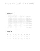 ANTAGONIST ANTI-NOTCH3 ANTIBODIES AND THEIR USE IN THE PREVENTION AND     TREATMENT OF NOTCH3-RELATED DISEASES diagram and image