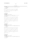 ANTAGONIST ANTI-NOTCH3 ANTIBODIES AND THEIR USE IN THE PREVENTION AND     TREATMENT OF NOTCH3-RELATED DISEASES diagram and image