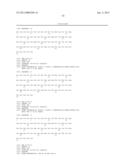 ANTAGONIST ANTI-NOTCH3 ANTIBODIES AND THEIR USE IN THE PREVENTION AND     TREATMENT OF NOTCH3-RELATED DISEASES diagram and image